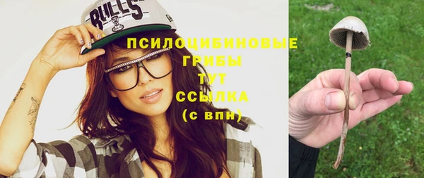 мет Горнозаводск