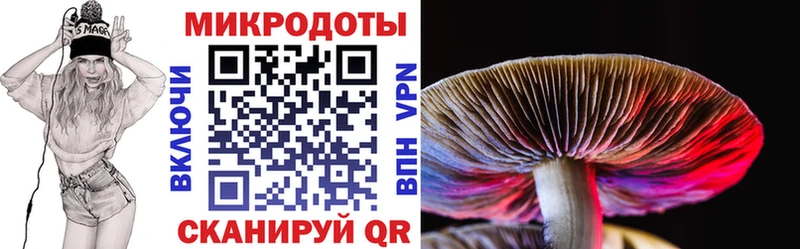 Галлюциногенные грибы Psilocybine cubensis  Купить где  Муравленко 